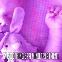 67 Soothing Spa Mind Treatment