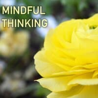 Mindful Thinking - Meditation Music for Relaxation and Reaching a Mindfulness State of Mind