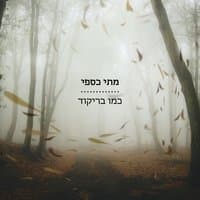 כמו בריקוד