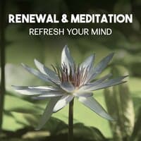 Renewal & Meditation – Refresh Your Mind, New Age Music for Mental Health, Heal Yourself by Soothing Sounds, Reach Inner Balance