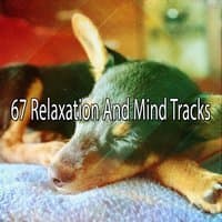 67 Relaxation And Mind Tracks