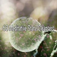 63 Meditative State Cleansers