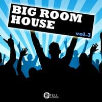 Big Room House, Vol. 3