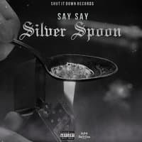 Silver Spoon