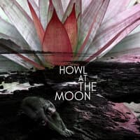 Howl at the Moon