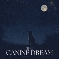 The Canine Dream