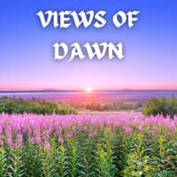 Views of Dawn