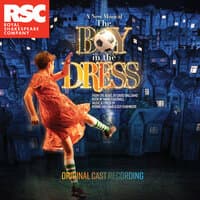 The Boy in the Dress