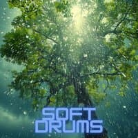 Soft drums