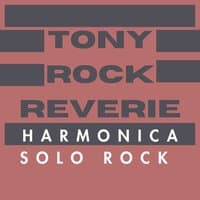 Harmonica Solo Rock