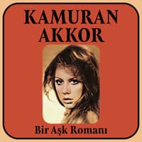 Bir Ask Roman