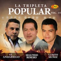 La Tripleta Popular, Vol. 15