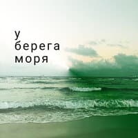 У берега моря