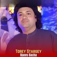 Torey Stargey