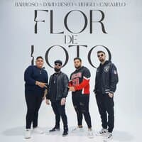 Flor de Loto