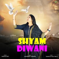 Shyam Diwani