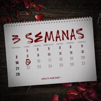 3 Semanas