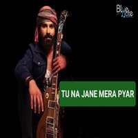 Tu Na Jane Mera Pyar