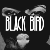 Black Bird