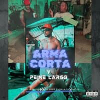 Arma Corta y Peine Largo