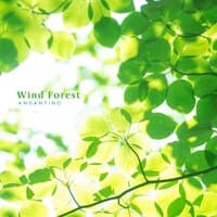 Wind Forest