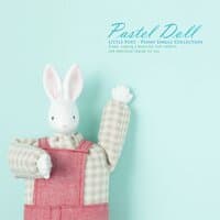 Pastel doll