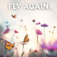 Fly Again