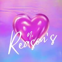 No Reason's