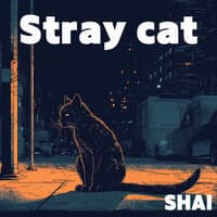 Stray Cat