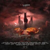 F_K Llamas, Vol. 2