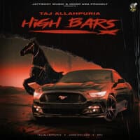 High Bars