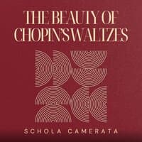 The Beauty Of Chopin’s Waltzes