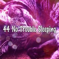 44 No Trouble Sleeping