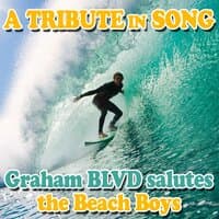 Beach Boys Salute - A Tribute in Song