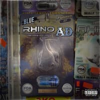 Blue Rhino - EP