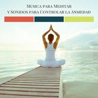 Musica para Meditar y Sonidos para Controlar la Ansiedad