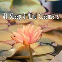 41 Sleep & Mind Cleansers