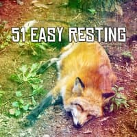 51 Easy Resting