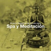 Música Relajante de Fondo para Spa y Meditacion