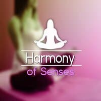 Harmony of Senses – Experience Day, Healing Nature Sounds, Astral Travel, Deep Meditation Music, Inner Power, Om Chanting, Spiritual Journey, State of Mind