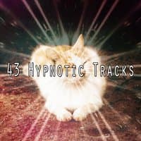 43 Hypnotic Tracks