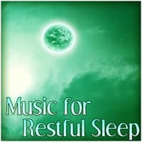 Music for Restful Sleep - Massage and Sleep, Sleep All Night Long, Positive Music for Night