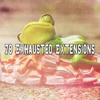 78 Exhausted Extensions