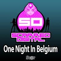 One Night In Belgium