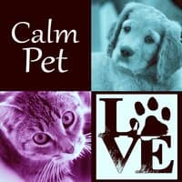 Calm Pet - Instrumental Mellow Music and Calming Down Nature Sounds to Relax Your Dog & Cat When They Are Alone at Home, Soft Melodies for Puppies & Kittens That Will Keep Them Company