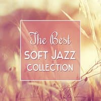 The Best Soft Jazz Collection – Jazz Calmness, Easy Listening, Serenity Jazz, Soft Music Bar