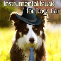 Instrumental Music for Dogs Ear: Pets Relaxation, Comfort & Happiness, Jazz Music for Pets While You're Out