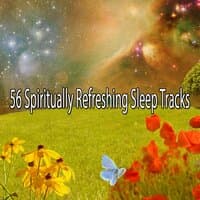 56 Spiritually Refreshing Sleep Tracks