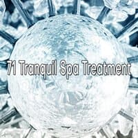 71 Tranquil Spa Treatment