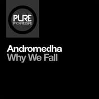 Why We Fall